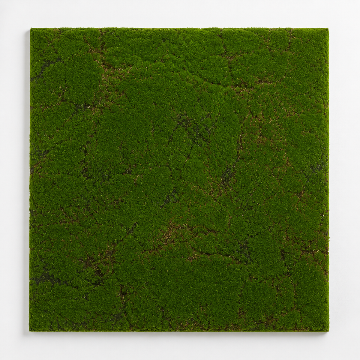 Mamır Panel – 100 × 100 sm